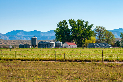 Agricultural landscape in western Colorado in summer