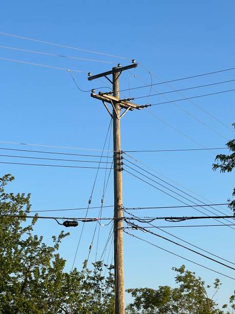 Telephone pole with trees. Power lines attached to a telephone pole. telephone pole stock pictures, royalty-free photos & images