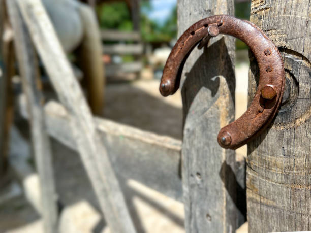 An old rusty horseshoe locks the gate in the fence. Horse farm ranch background