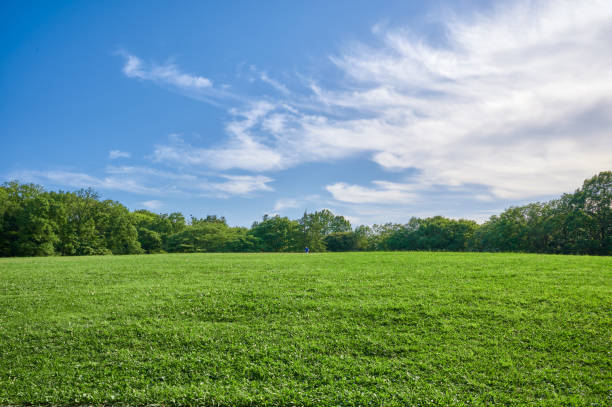istock Panoramic view of blue sky and lawn 1517955109