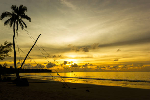 Sunset with coconut tree on Khao Lak beach in Phang-nga Thailand