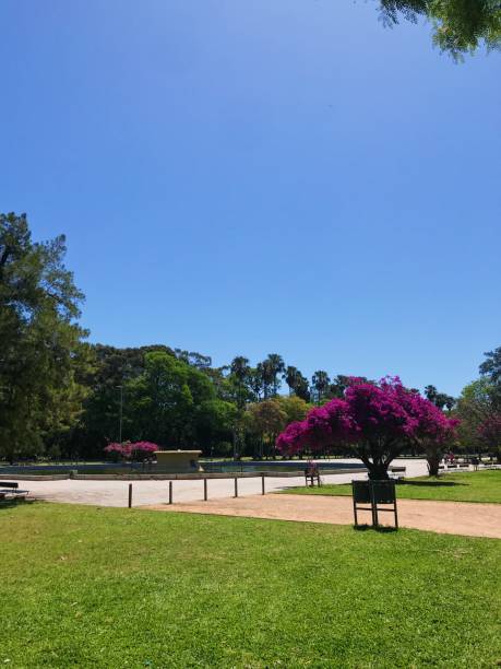 istock Redemption park - Porto Alegre - Brazil 1517974946