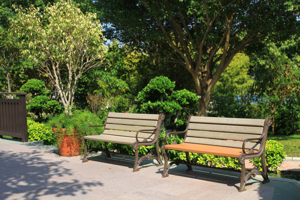 istock Empty Bench By Trees In Park, tai po park, hk 9 April 2011 1518048847