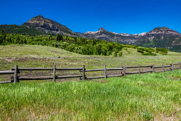 istock Williams Creek Wilderness Area in Colorado 1518066177
