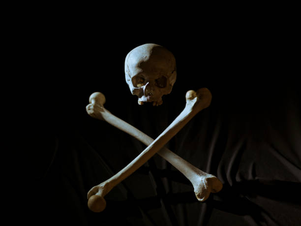 istock Human Skull and crossed Femurs 151816888