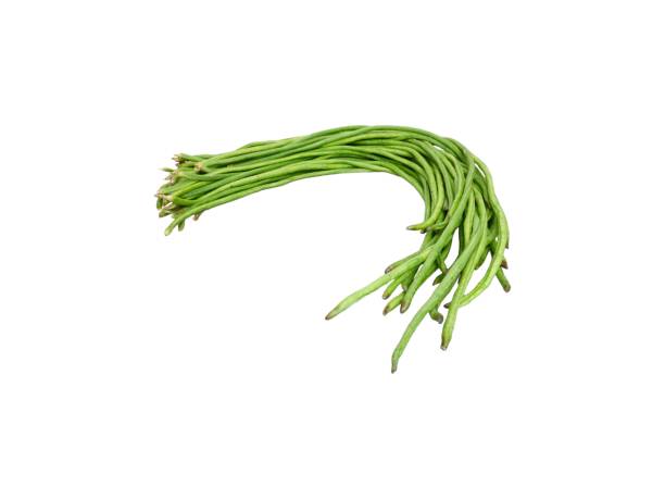 istock Bunch of fresh long bean isolated on white background 1518192233