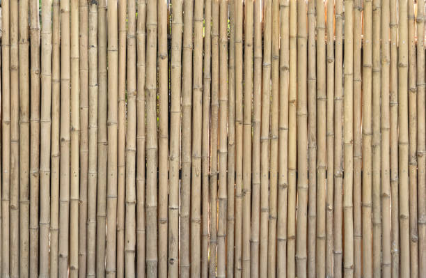 istock Old bamboo plank fence texture material construction for background. 1518195901