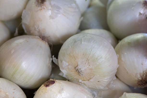 Bunch of White Onions