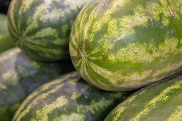 istock Watermelons for sale 1518202458