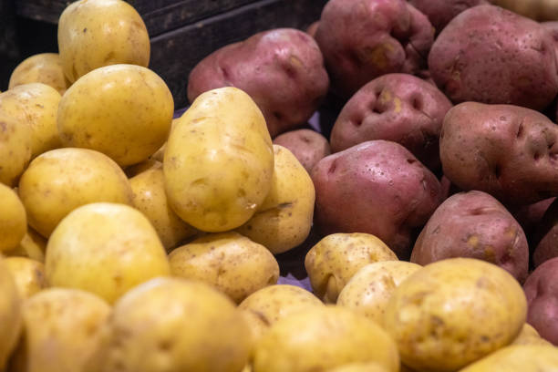 istock Yukon Gold and Red Potatoes 1518202467