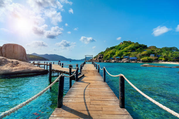 Wooden bridge at Koh Nangyuan island in Surat Thani, Thailand. Wooden bridge at Koh Nangyuan island in Surat Thani, Thailand. koh tao stock pictures, royalty-free photos & images