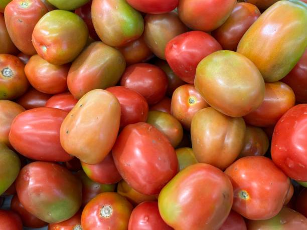 istock Fresh and raw tomatoes with color gradation in supermarket 1518247738