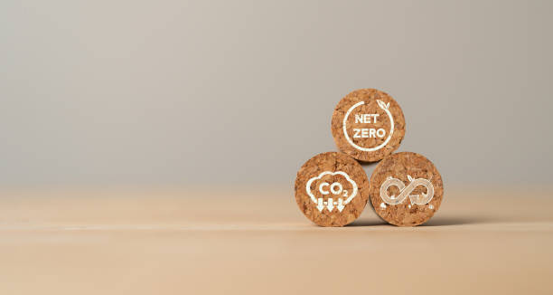 Net zero and carbon neutral concept. Net zero greenhouse gas emissions target. Climate action plan and target. Round wood blocks with carbon reduction, circular economy and sustainable community icons