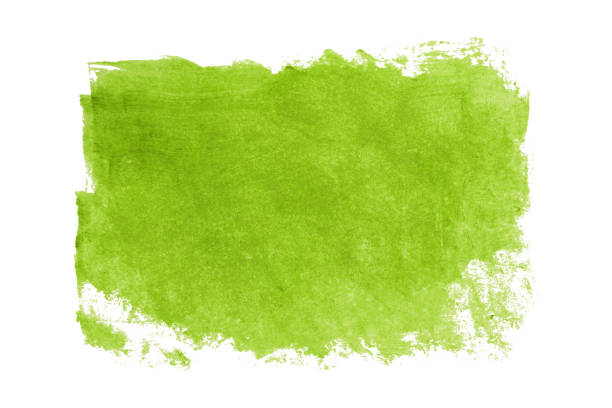 Green brush isolated on white background. Lime green.