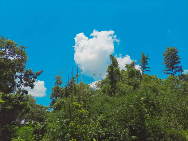 Blue sky and beautiful cloud's in nuture .