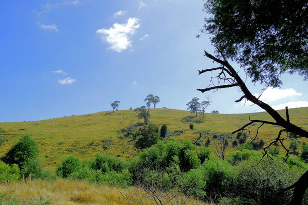 istock Kurumburra,  Victoria,  Australia 1518350422