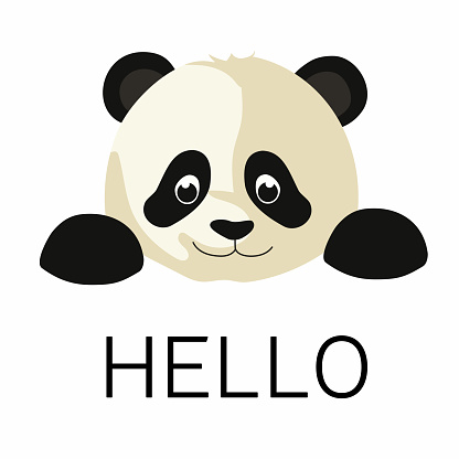 Panda says Hello. Vector background with cartoon bear.