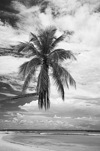Black and white Caribbean beach