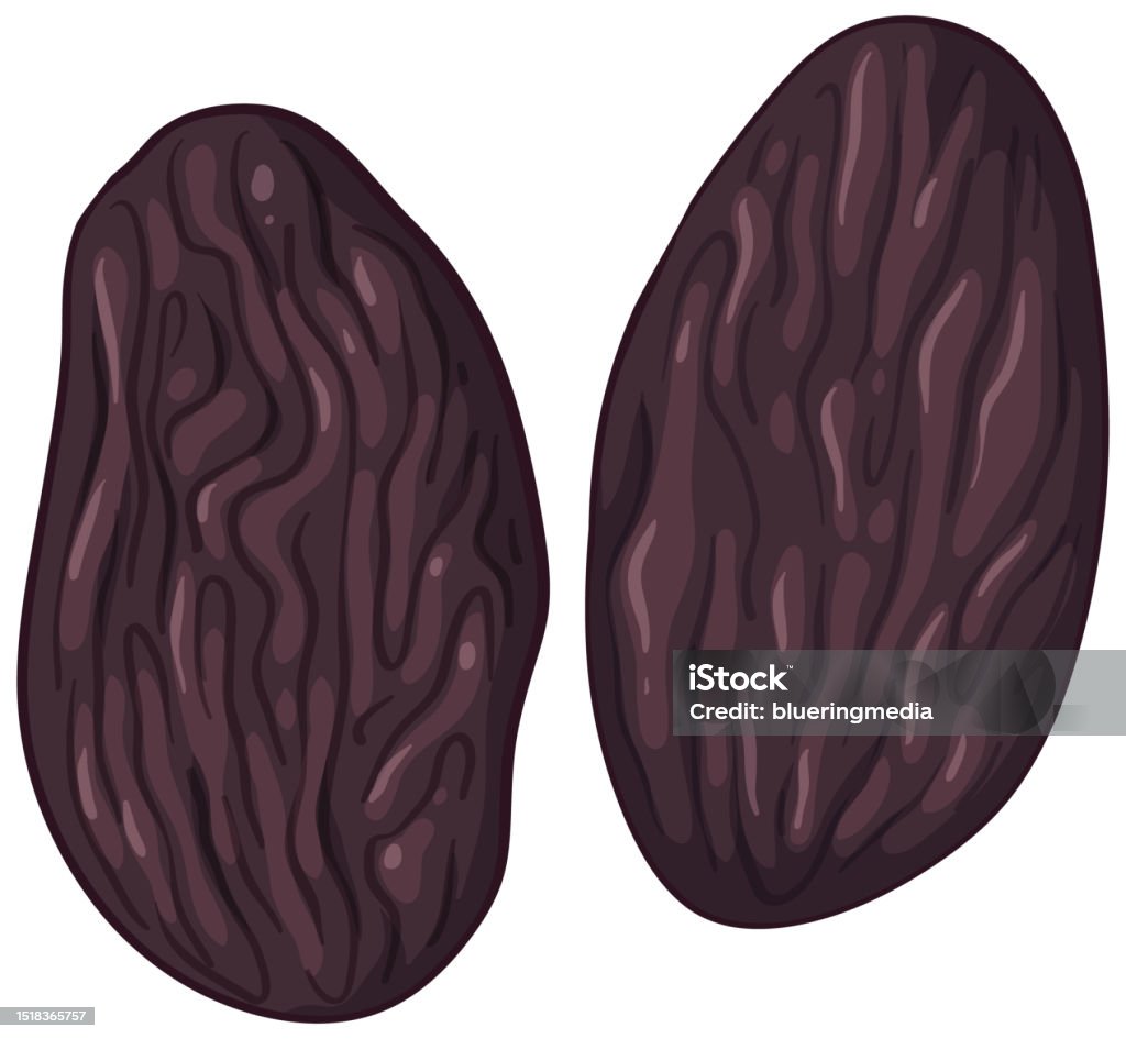 Swollen Raisins Vector Two Isolated Raisins Vector Stock Illustration - Download Image Now ...