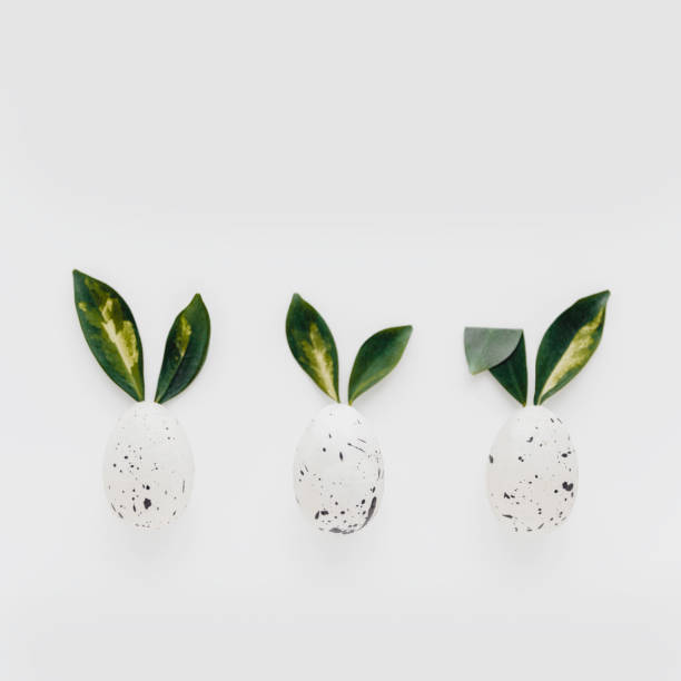 istock Easter eggs with green leaves looking like bunny ears. 1518452574