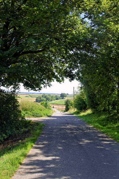 istock Landscape in the summer in southern Germany 1518468801