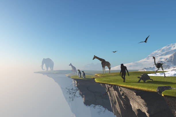 The edge of the earth