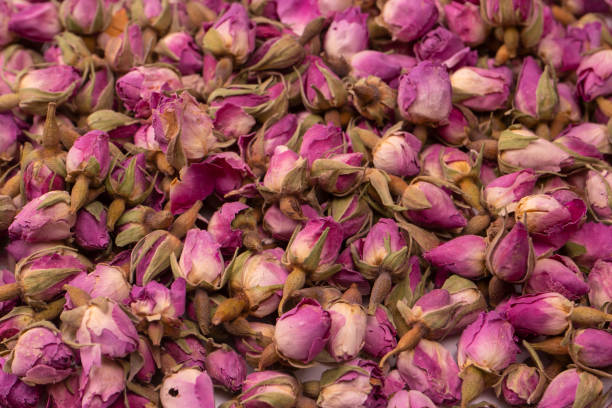 istock Dry tea roses isolated on white background. 1518497637