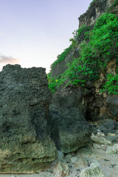 istock Coral rocks overgrown with green scaevola taccada 1518561421