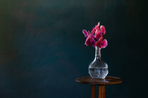 istock pink orchid in glass bottle on dark blue background 1518562469