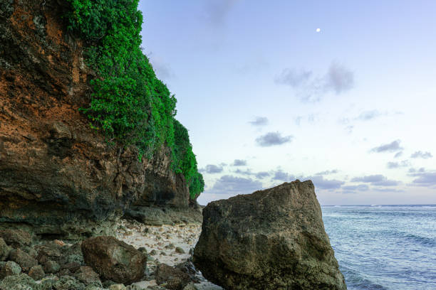 istock The horizon on the coral rocky beach 1518563589