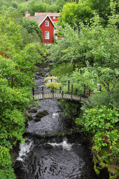 istock Creek with footbridge 1518576282