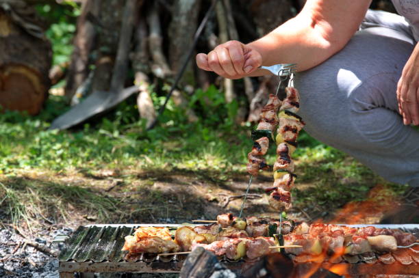 다양한 고기와 야채 구이 - meat and alternatives dinner lunch picnic 뉴스 사진 이미지