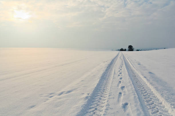 istock Winter landscape with a path and tracks, winter in Germany 1518635470