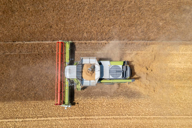 istock Combine harvester from directly above 1518665597
