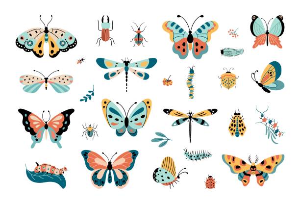 ilustrações de stock, clip art, desenhos animados e ícones de isolated insects, butterfly and caterpillars. beetle garden, funny decorative butterflies. nature wildlife elements, bug nowaday vector clipart - caterpillar isolated white background insect