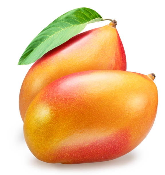 istock Mango fruits with green leaf isolated on white background. 1518704536