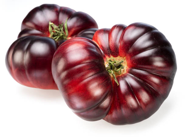 istock Ripe black or purple tomatoes isolated on white background. 1518704559