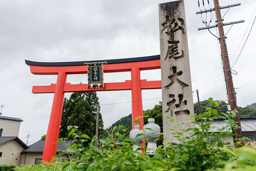 Kyoto, Japan - June 12 2023 : Matsunoo Taisha Shrine Torii Gate.