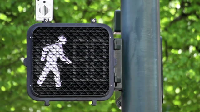 Crosswalk Signal with Timer