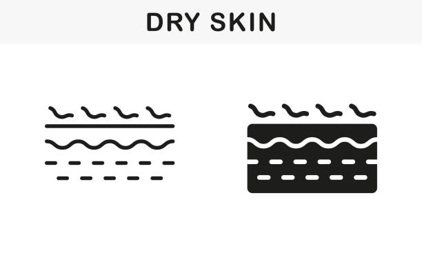 ilustrações, clipart, desenhos animados e ícones de linha pele humana seca e conjunto de ícones silhueta preto. pictograma do problema da derme desidratada. coleção symbol crack, rough, dry, flaking skin structure. ilustração vetorial isolada - silhouette water computer icon cosmetics