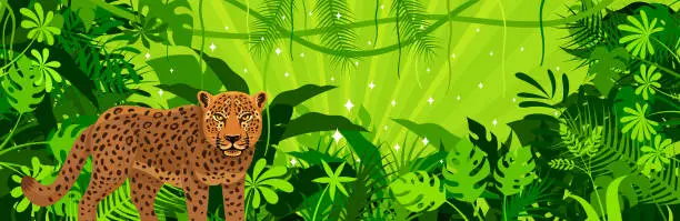 Vector illustration of Leopard in the bushes. Mascot Creative Logo Design. Tropical Rainforest Banner. Jungle Frame Poster.