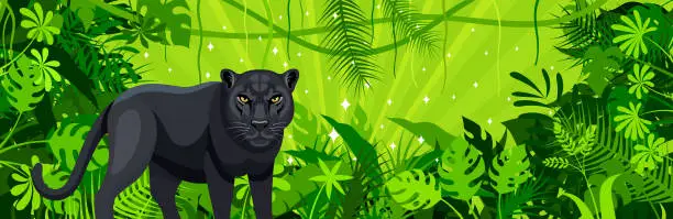 Vector illustration of Black Leopard in the jungle. Mascot Creative Logo Design. Tropical Rainforest Banner. Jungle Frame Poster.