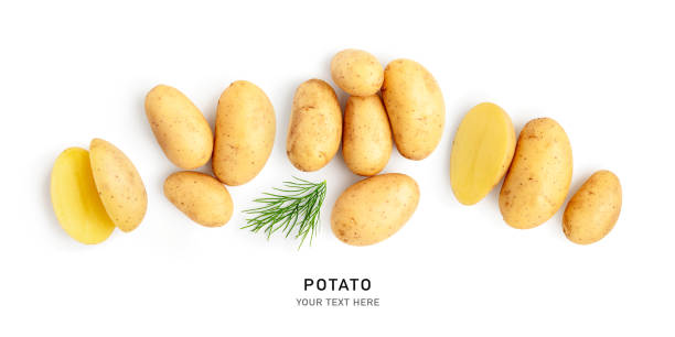 istock Raw new potatoes and dill banner isolated on white background 1518894649