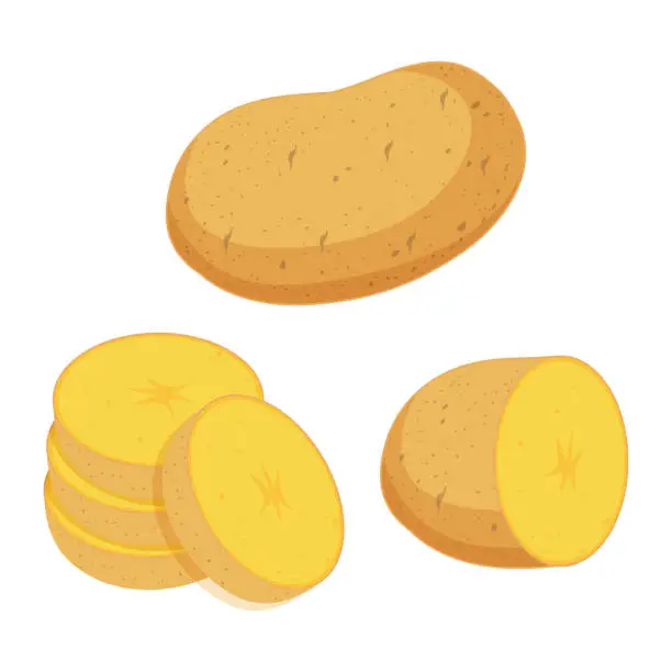 Vector illustration of Potato set. Whole, sliced potatoes.