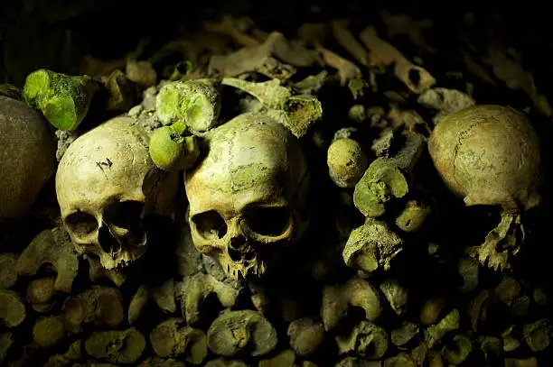 Two prominent skulls in the catacombs in Paris.