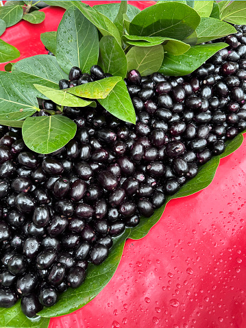Stock photo showing a pile of fresh, purple, jamun (Syzygium cumini), being sold at an outdoor fruit and vegetable market. These fruit that are often eaten raw or used to make preserves are also known black, Java or Malabar plums.