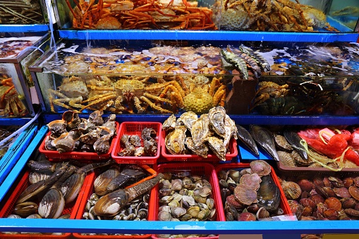 Fish market in Seoul, South Korea. Shellfish at Noryangjin Fish Market. Crabs, whelks, geoduck clams and oysters.