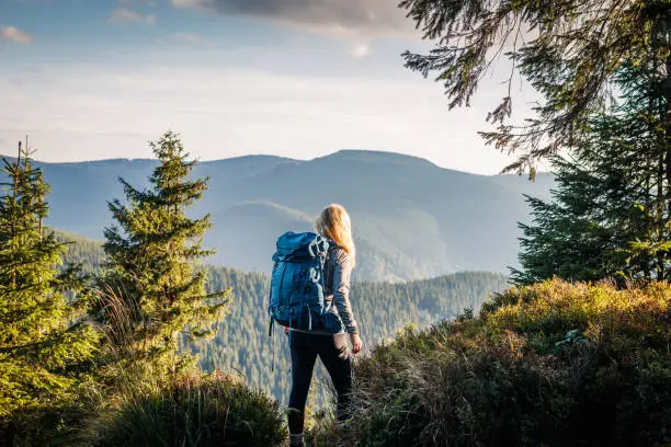 Woman with backpack hiking in mountain forest at natural parkland Jeseniky, Czech Republic. Traveler trekking in nature. Summer outdoors adventure