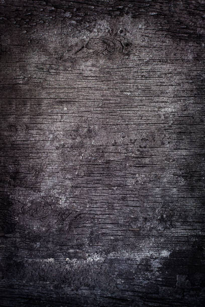Old wooden background or texture. Dark rustic background with copy space