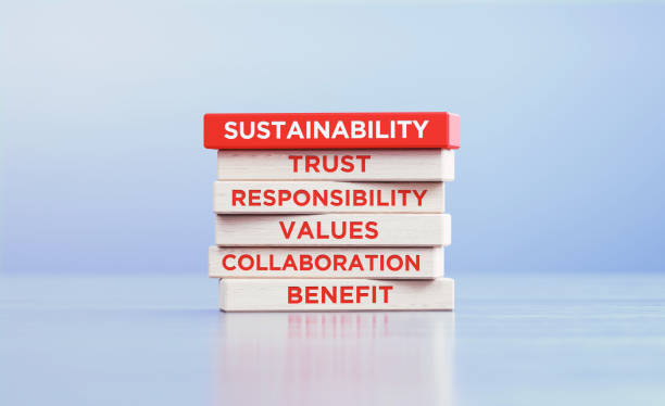 istock Sustainability Related Words Written Wood Blocks Sitting on Wood Surface in Front a Defocused Background 1519080457